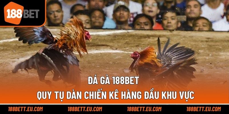 Đá Gà 188bet - Quy Tụ Dàn Chiến Kê Hàng Đầu Khu Vực