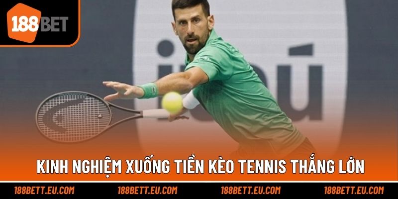 Kinh nghiệm cược thắng lớn trong từng ván cược tennis