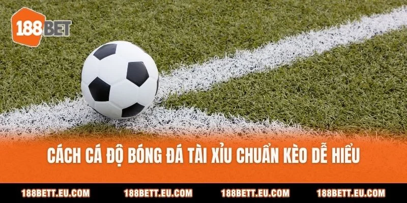 Cách Cá Độ Bóng Đá Tài Xỉu Chuẩn Kèo Dễ Hiểu