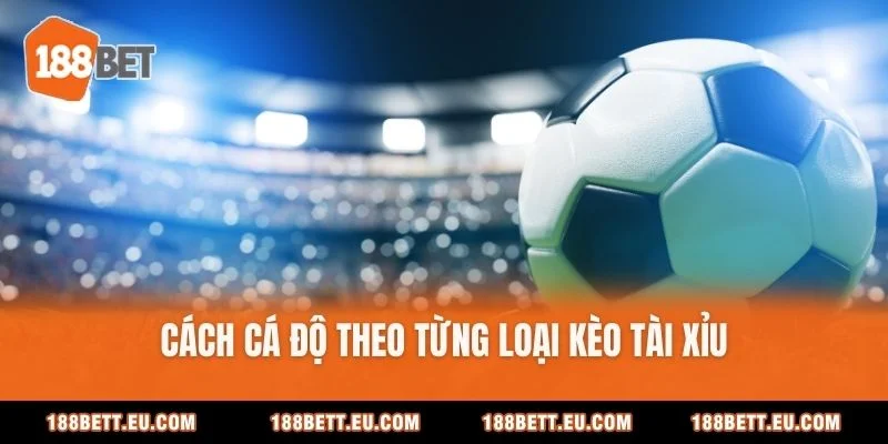 Cách cá độ theo từng loại kèo tài xỉu