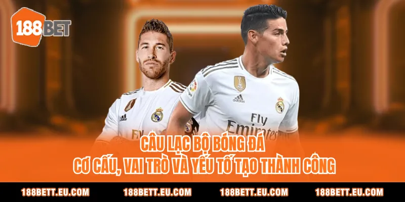 Câu Lạc Bộ Bóng Đá: Cơ Cấu, Vai Trò Và Yếu Tố Tạo Thành Công