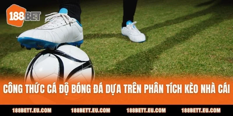 Công thức cá độ bóng đá dựa trên phân tích kèo nhà cái