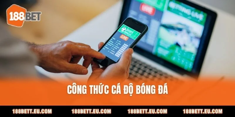 Công Thức Cá Độ Bóng Đá Chuẩn Xác Và An Toàn 2026 Mới