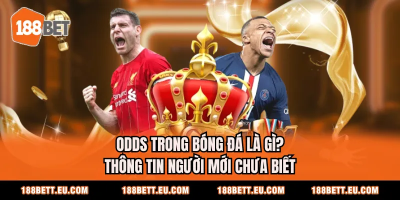 Odds Trong Bóng Đá Là Gì? Thông Tin Người Mới Chưa Biết