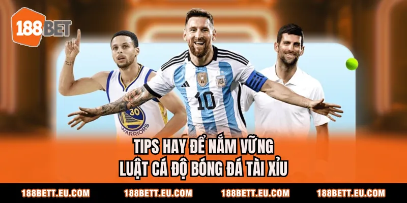 Tips hay để nắm vững luật cá độ bóng đá tài xỉu