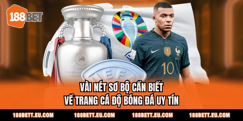 Vài nét sơ bộ cần biết về trang cá độ bóng đá uy tín